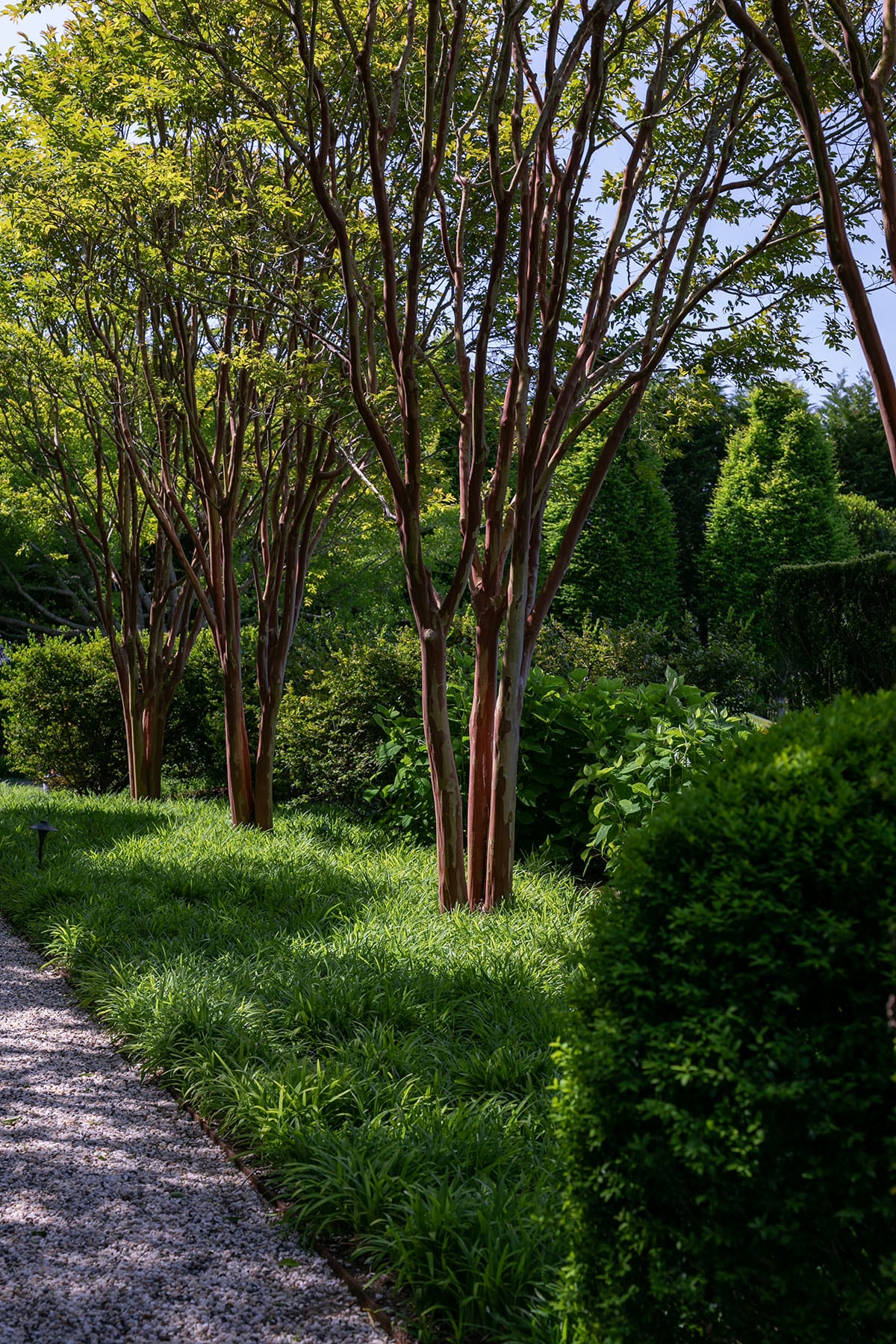 Hamptons landscape portfolio — PeconicLawnCare_2023_0530_118, Hamptons landscape by Peconic Lawn & Tree Care