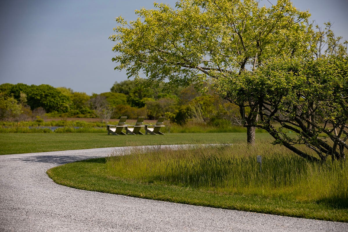 Hamptons landscape portfolio — PeconicLawnCare_2023_0530_126, Hamptons landscape by Peconic Lawn & Tree Care