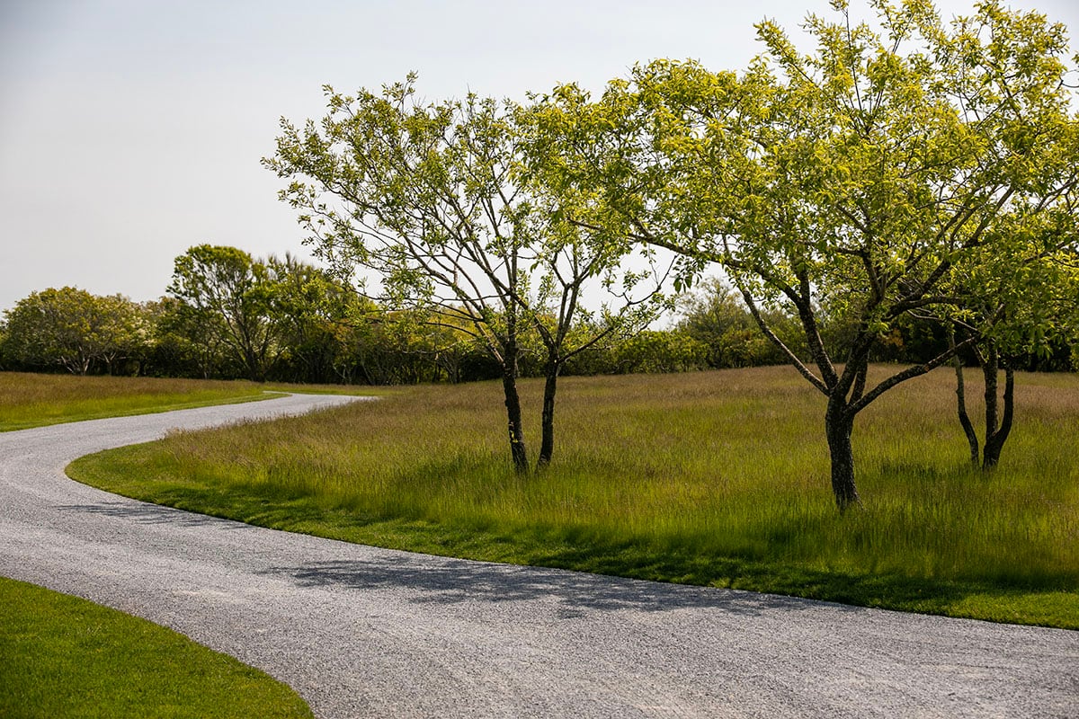 Hamptons landscape portfolio — PeconicLawnCare_2023_0530_133, Hamptons landscape by Peconic Lawn & Tree Care