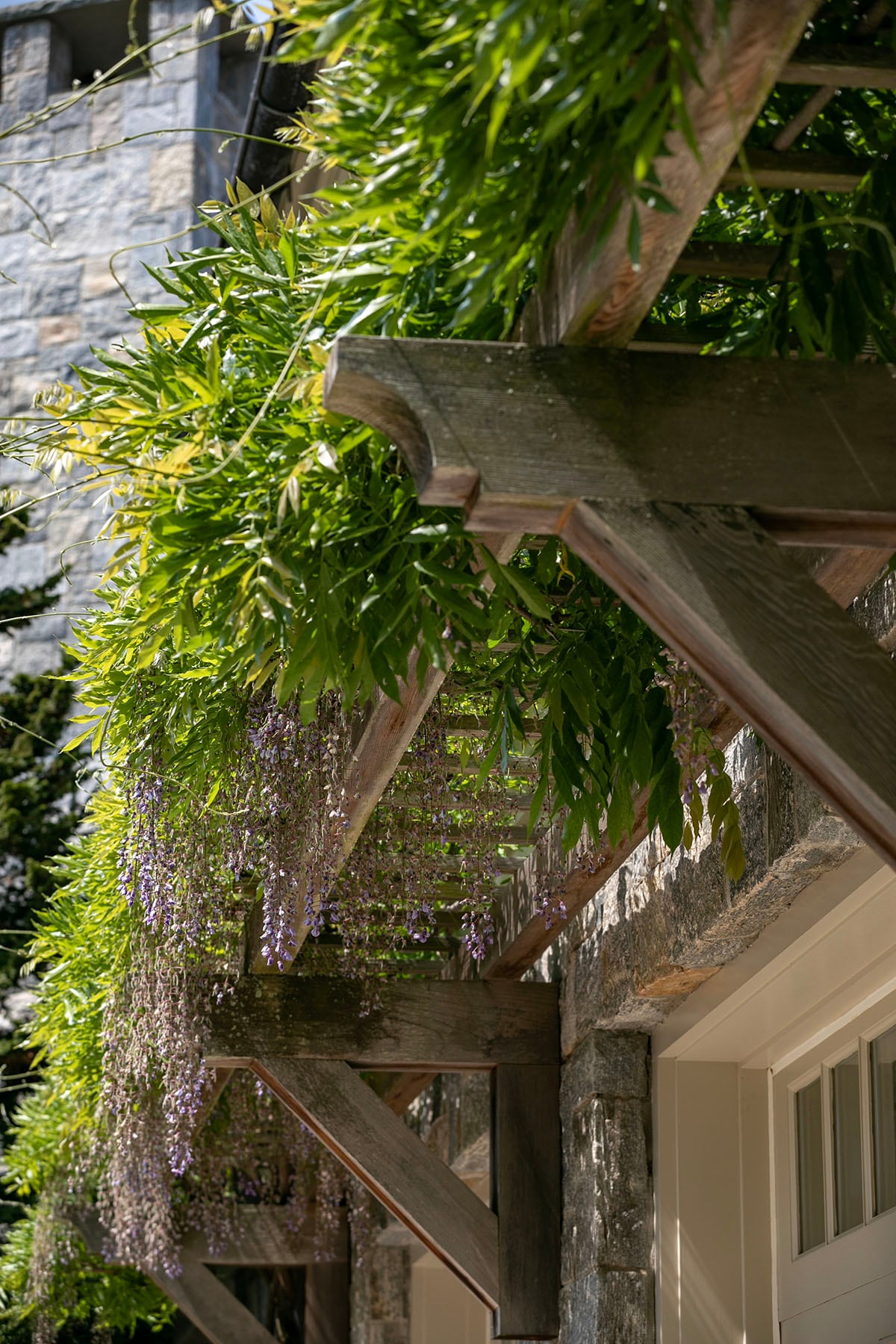 Hamptons landscape portfolio — PeconicLawnCare_2023_0530_163, Hamptons landscape by Peconic Lawn & Tree Care