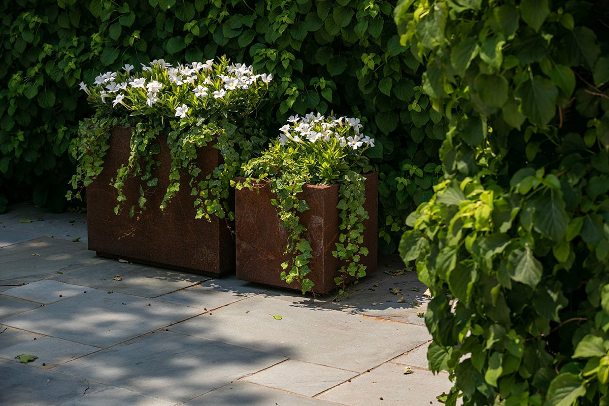 Hamptons landscape portfolio — PeconicLawnCare_2023_0530_166, Hamptons landscape by Peconic Lawn & Tree Care