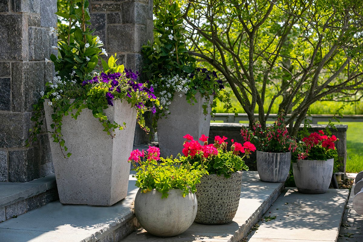 Hamptons landscape portfolio — PeconicLawnCare_2023_0530_167, Hamptons landscape by Peconic Lawn & Tree Care