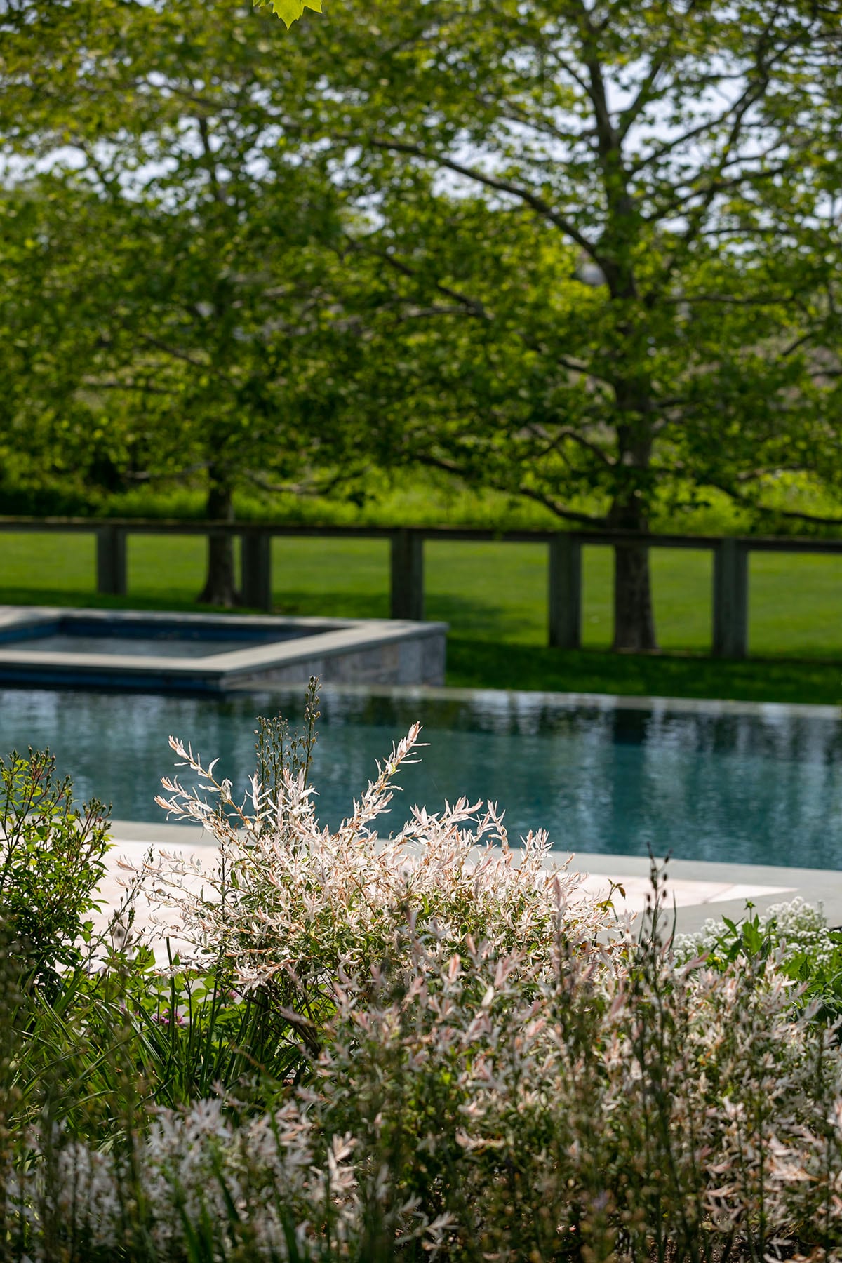 Hamptons landscape portfolio — PeconicLawnCare_2023_0530_169, Hamptons landscape by Peconic Lawn & Tree Care