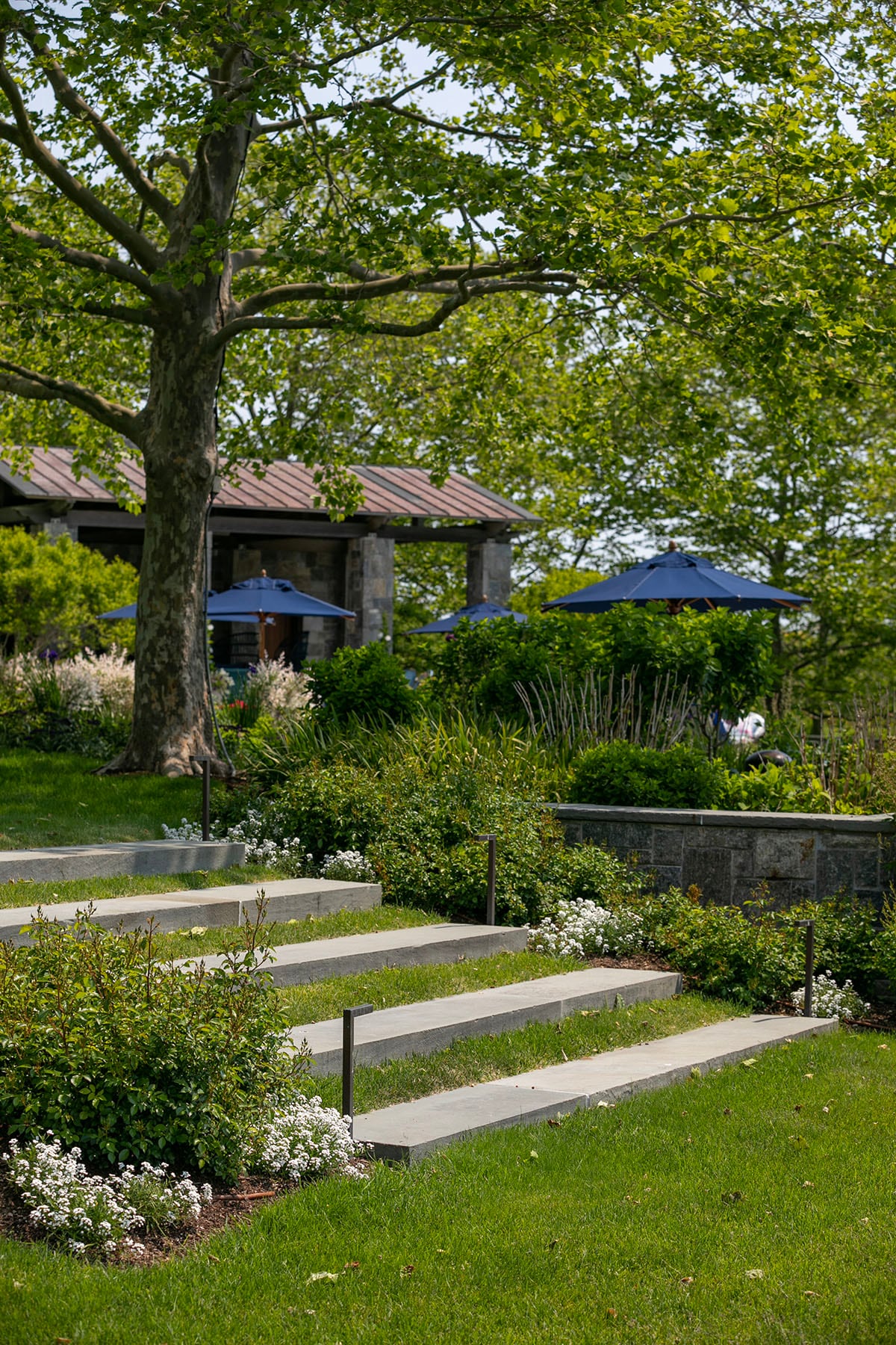 Hamptons landscape portfolio — PeconicLawnCare_2023_0530_171, Hamptons landscape by Peconic Lawn & Tree Care