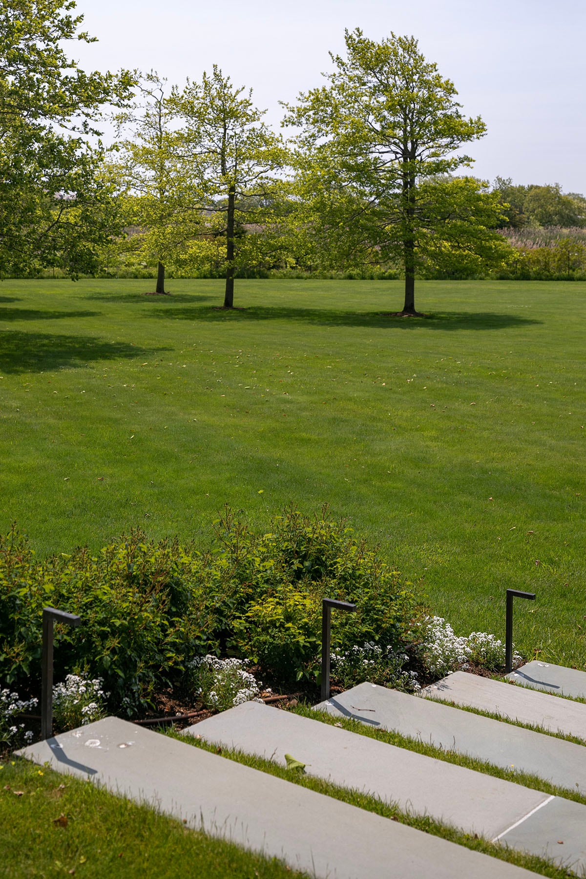 Hamptons landscape portfolio — PeconicLawnCare_2023_0530_172, Hamptons landscape by Peconic Lawn & Tree Care