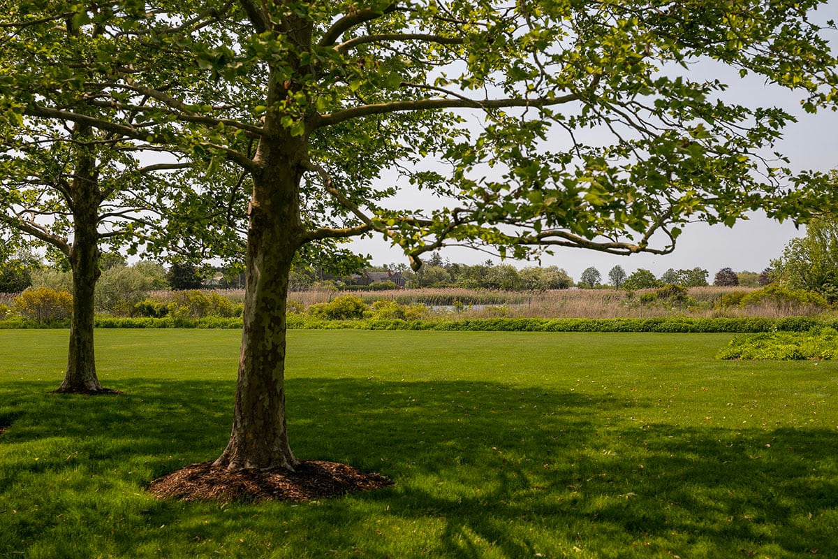 Hamptons landscape portfolio — PeconicLawnCare_2023_0530_173, Hamptons landscape by Peconic Lawn & Tree Care