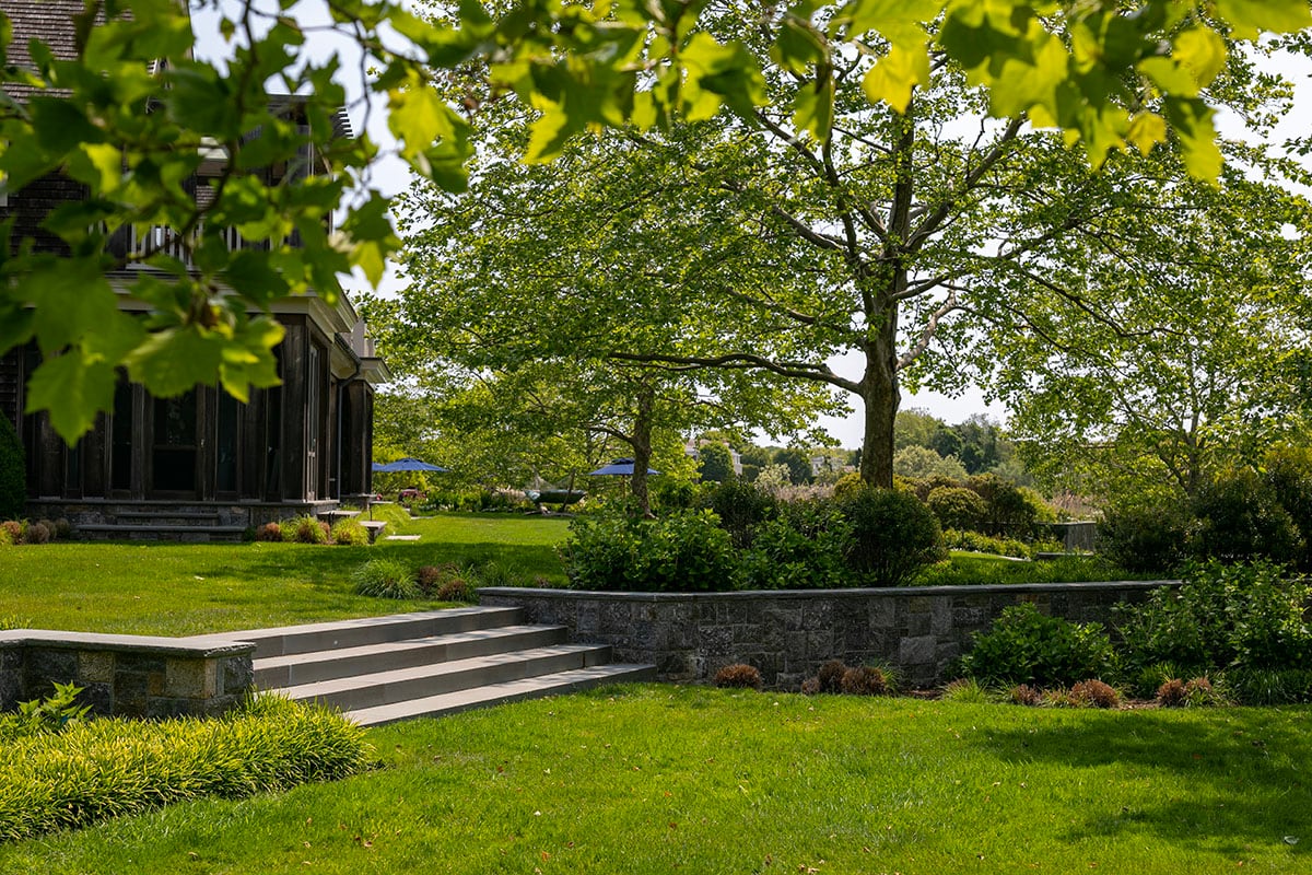 Hamptons landscape portfolio — PeconicLawnCare_2023_0530_174, Hamptons landscape by Peconic Lawn & Tree Care