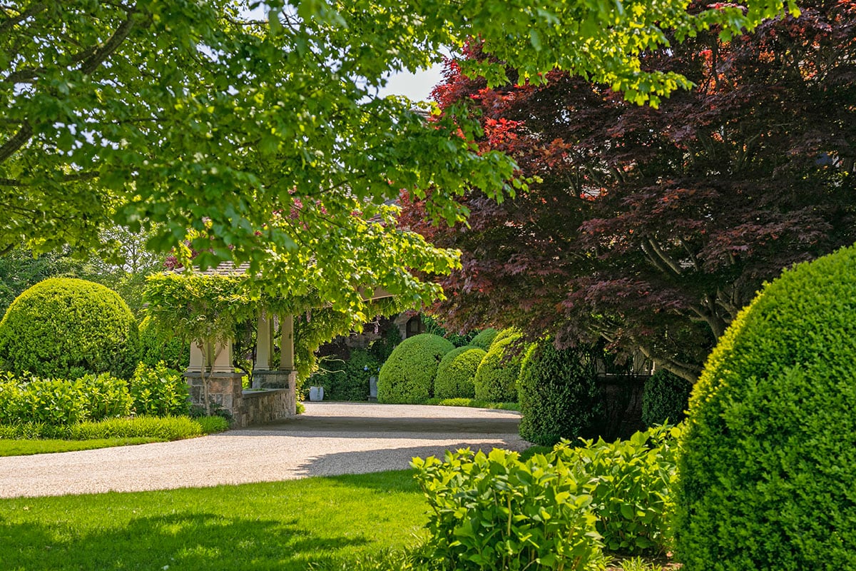 Hamptons landscape portfolio — PeconicLawnCare_2023_0530_179, Hamptons landscape by Peconic Lawn & Tree Care