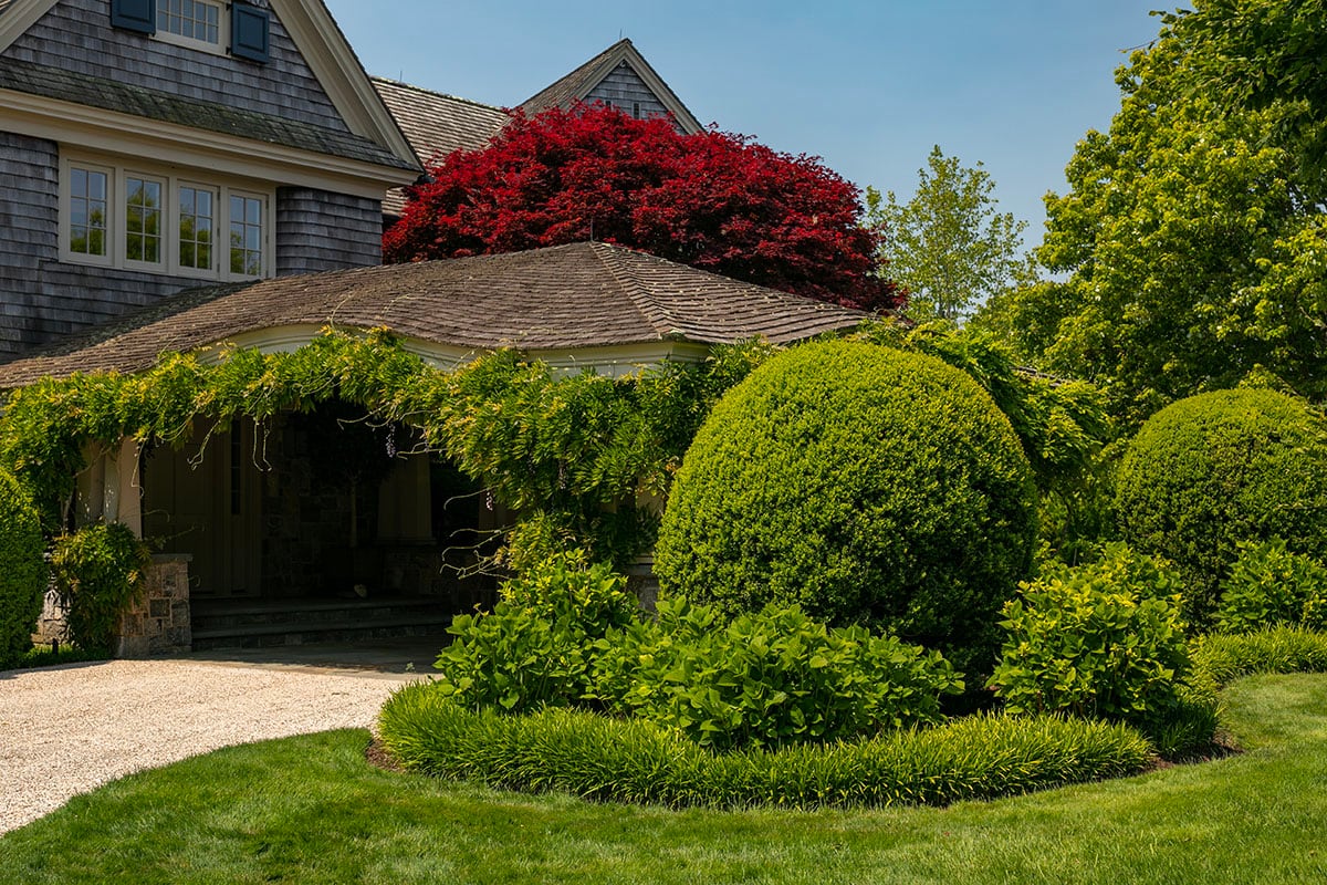 Hamptons landscape portfolio — PeconicLawnCare_2023_0530_182, Hamptons landscape by Peconic Lawn & Tree Care