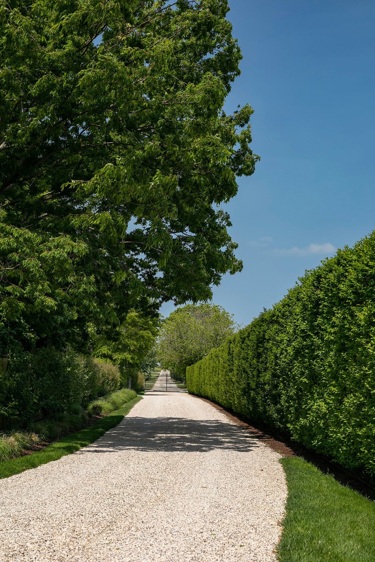 Hamptons landscape portfolio — PeconicLawnCare_2023_0530_184, Hamptons landscape by Peconic Lawn & Tree Care
