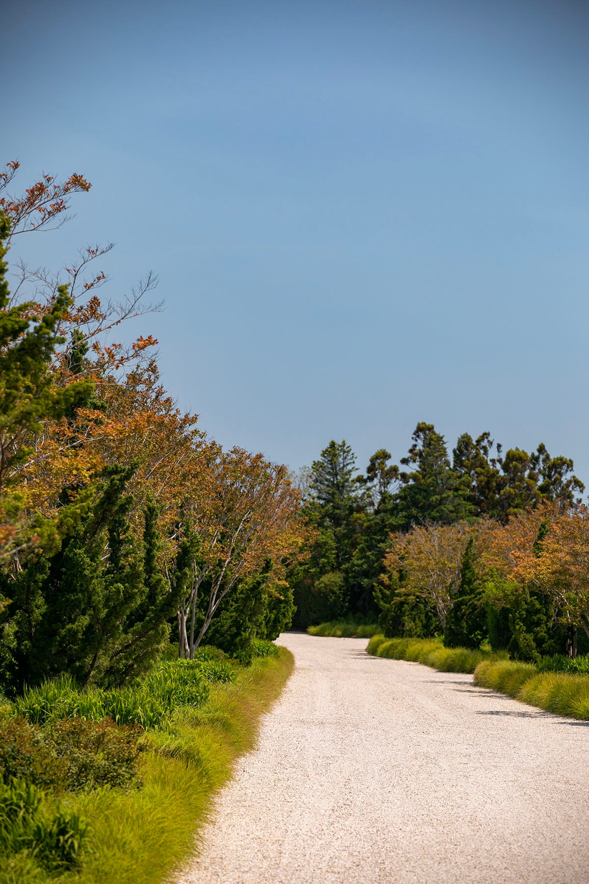Hamptons landscape portfolio — PeconicLawnCare_2023_0530_188, Hamptons landscape by Peconic Lawn & Tree Care
