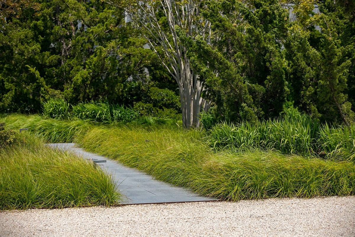 Hamptons landscape portfolio — PeconicLawnCare_2023_0530_190, Hamptons landscape by Peconic Lawn & Tree Care