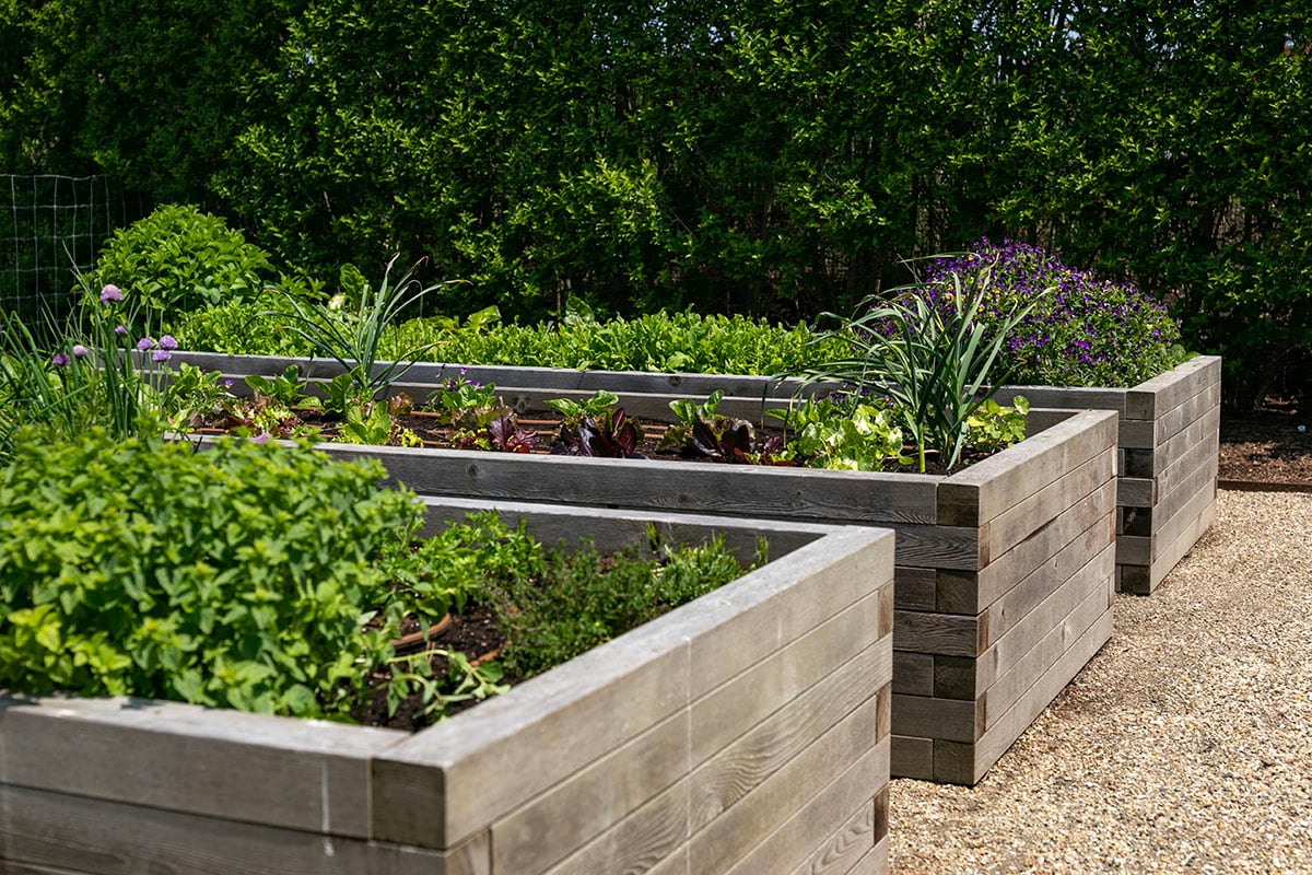 Hamptons landscape portfolio — PeconicLawnCare_2023_0530_195, Hamptons landscape by Peconic Lawn & Tree Care