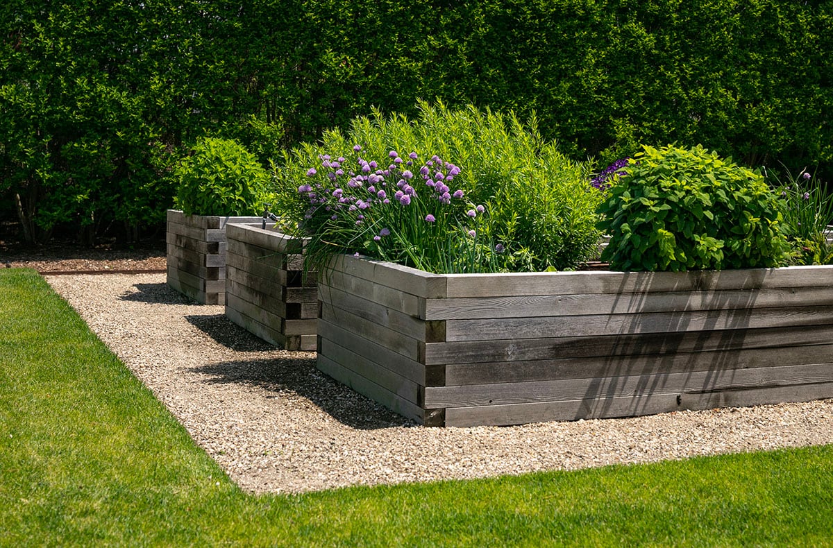 Hamptons landscape portfolio — PeconicLawnCare_2023_0530_197, Hamptons landscape by Peconic Lawn & Tree Care