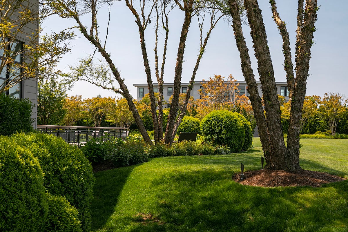 Hamptons landscape portfolio — PeconicLawnCare_2023_0530_198, Hamptons landscape by Peconic Lawn & Tree Care