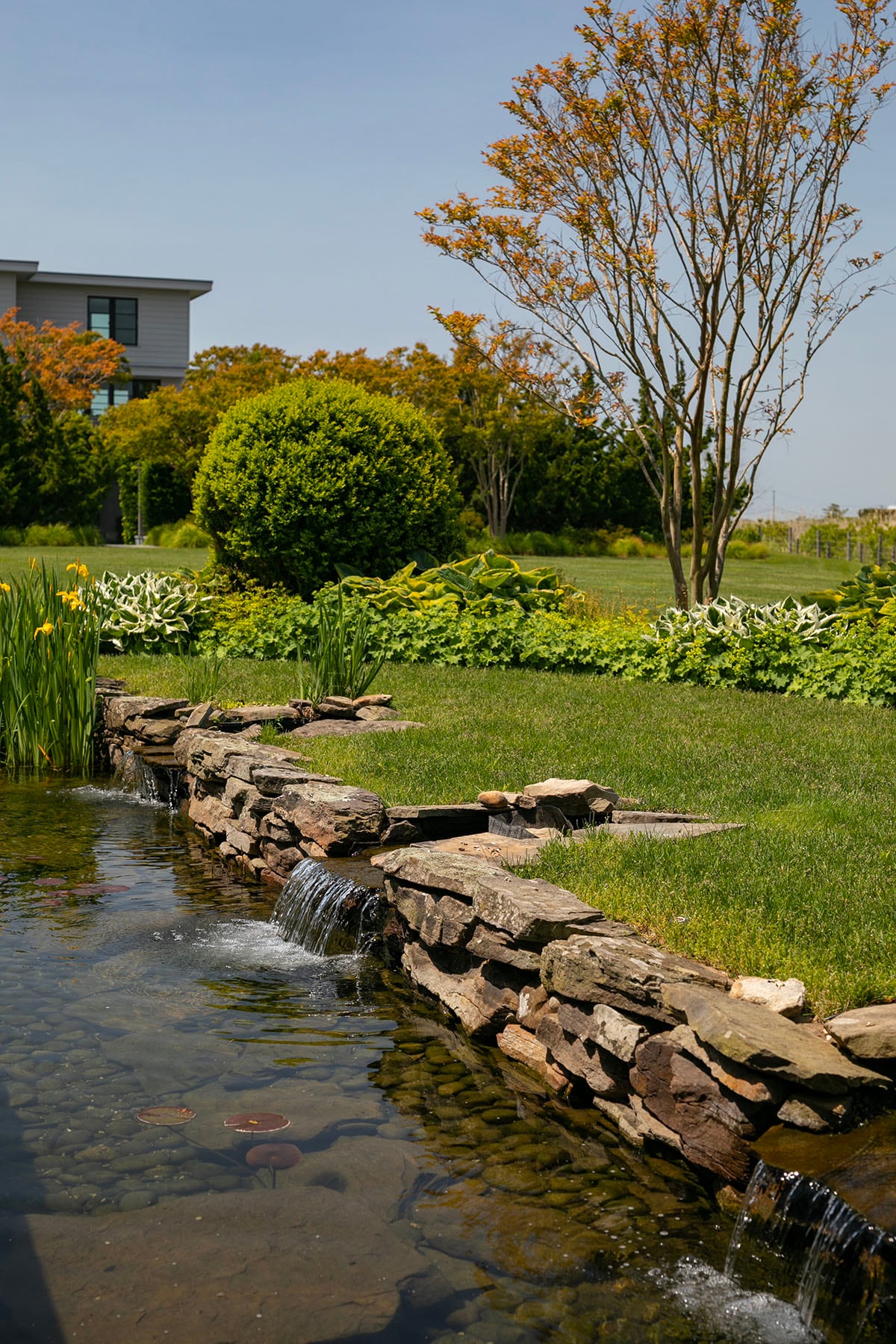 Hamptons landscape portfolio — PeconicLawnCare_2023_0530_199, Hamptons landscape by Peconic Lawn & Tree Care