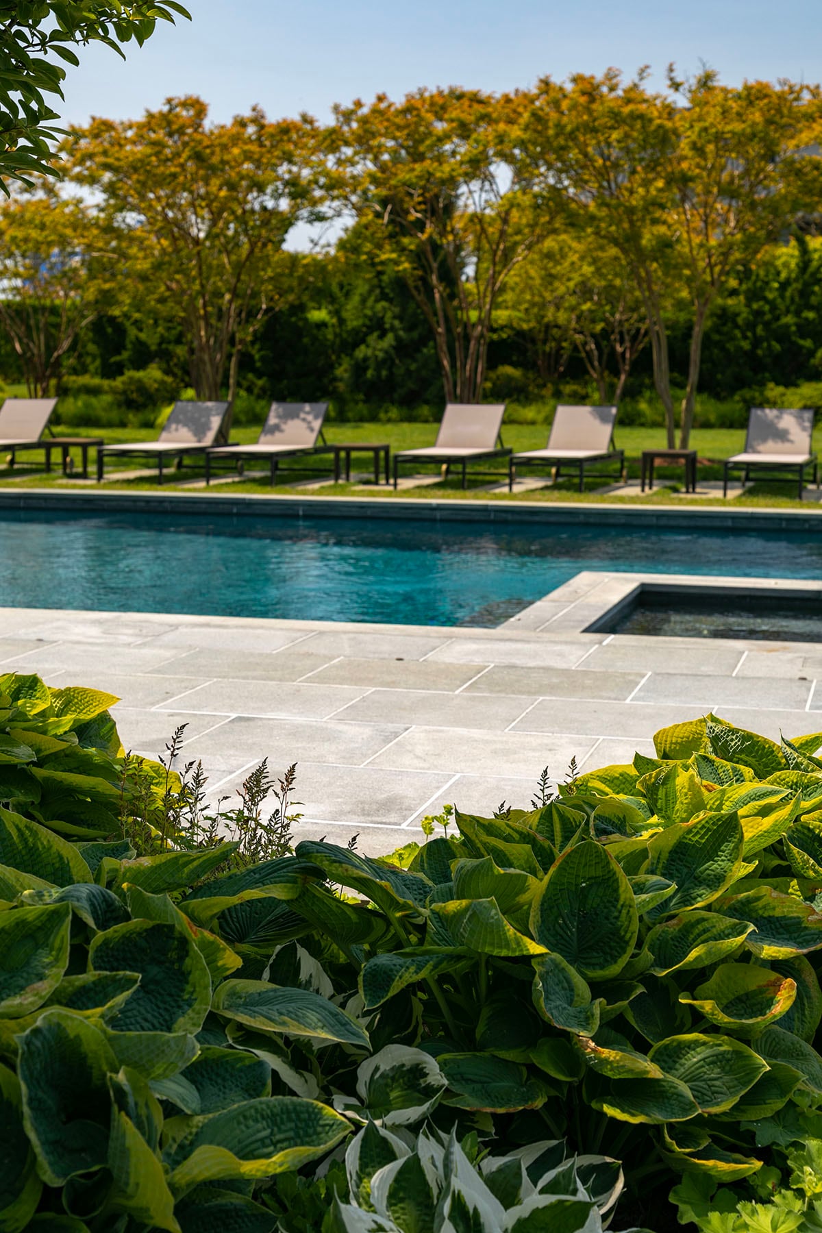 Hamptons landscape portfolio — PeconicLawnCare_2023_0530_201, Hamptons landscape by Peconic Lawn & Tree Care