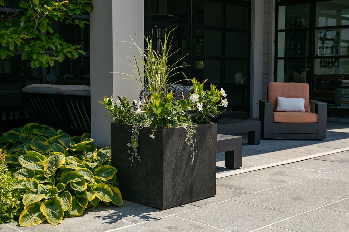 Hamptons landscape portfolio — PeconicLawnCare_2023_0530_202, Hamptons landscape by Peconic Lawn & Tree Care