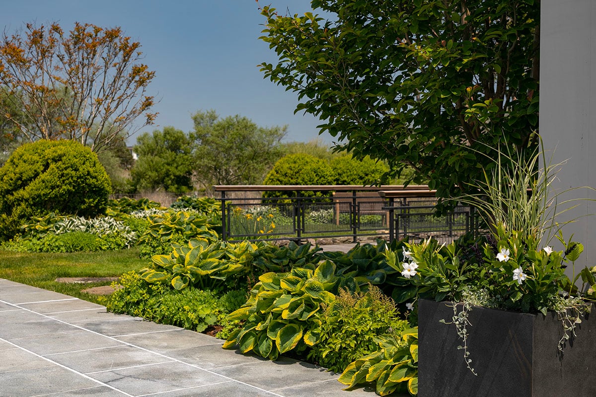 Hamptons landscape portfolio — PeconicLawnCare_2023_0530_203, Hamptons landscape by Peconic Lawn & Tree Care