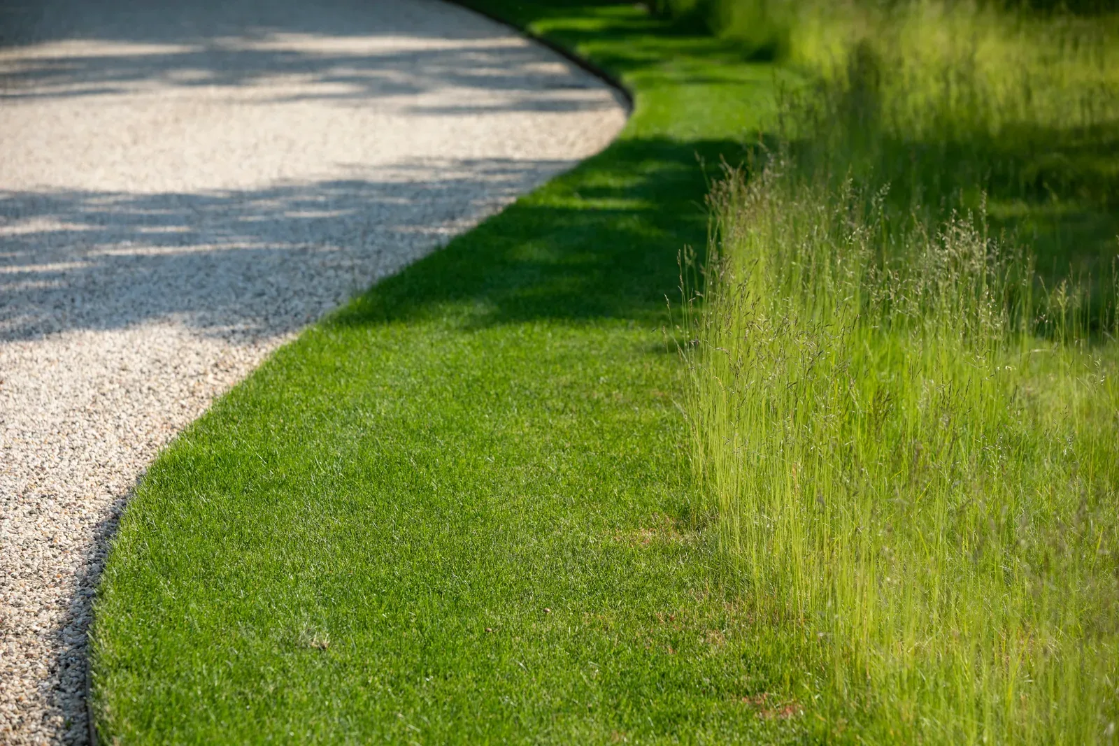 Peconic Lawn & Tree Care general manager, Hamptons landscape operations